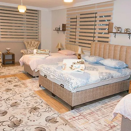 Ertur Vip Hotel