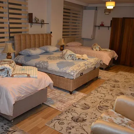 Ertur Vip Hotel