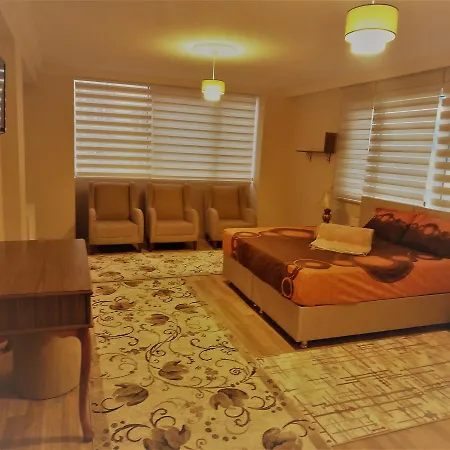 Hotel Ertur Vip